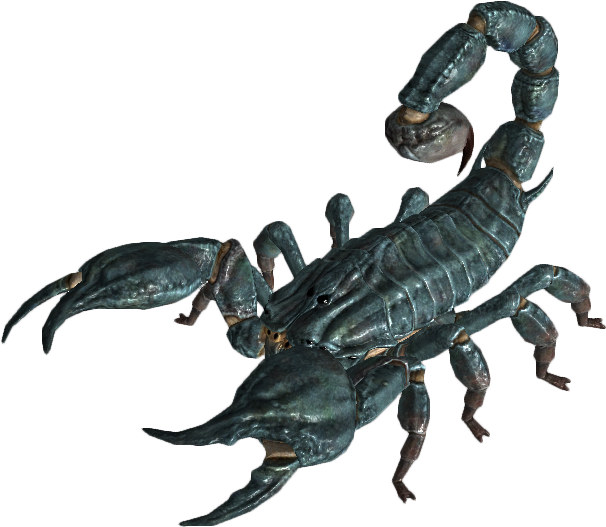 scorpion 桌布 壁紙 — 一隻細節豐富的3D渲染深青色蠍子，尾巴彎曲，襯托在純黑背景上。