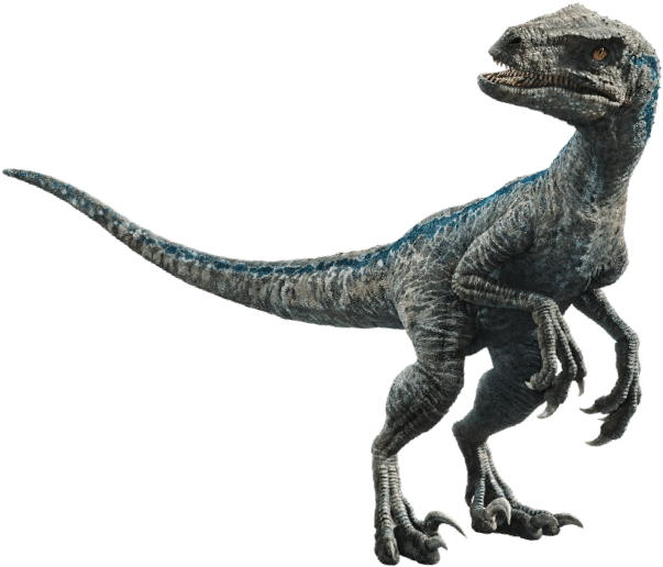 Jurassic World 桌布 壁紙 — 一隻細節豐富的3D渲染藍灰色迅猛龍在黑色背景前警覺地站立。