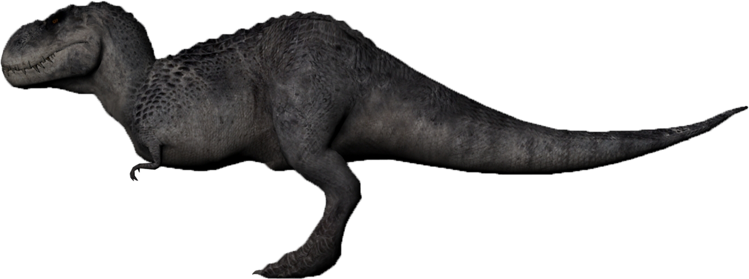 Tyrannosaurus Rex 桌布 壁紙 — 一隻細節豐富的灰色暴龍側面站立在純黑色背景前，展示其紋理皮膚和強壯體格。