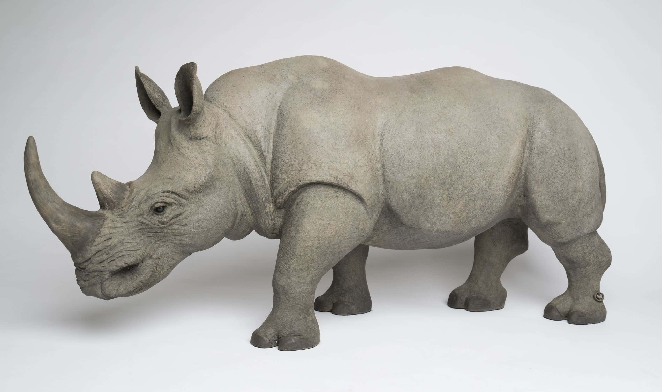 rhino 桌布 壁紙 — 一隻細節豐富的灰色犀牛雕像側面站立在純白色背景前，光線柔和。