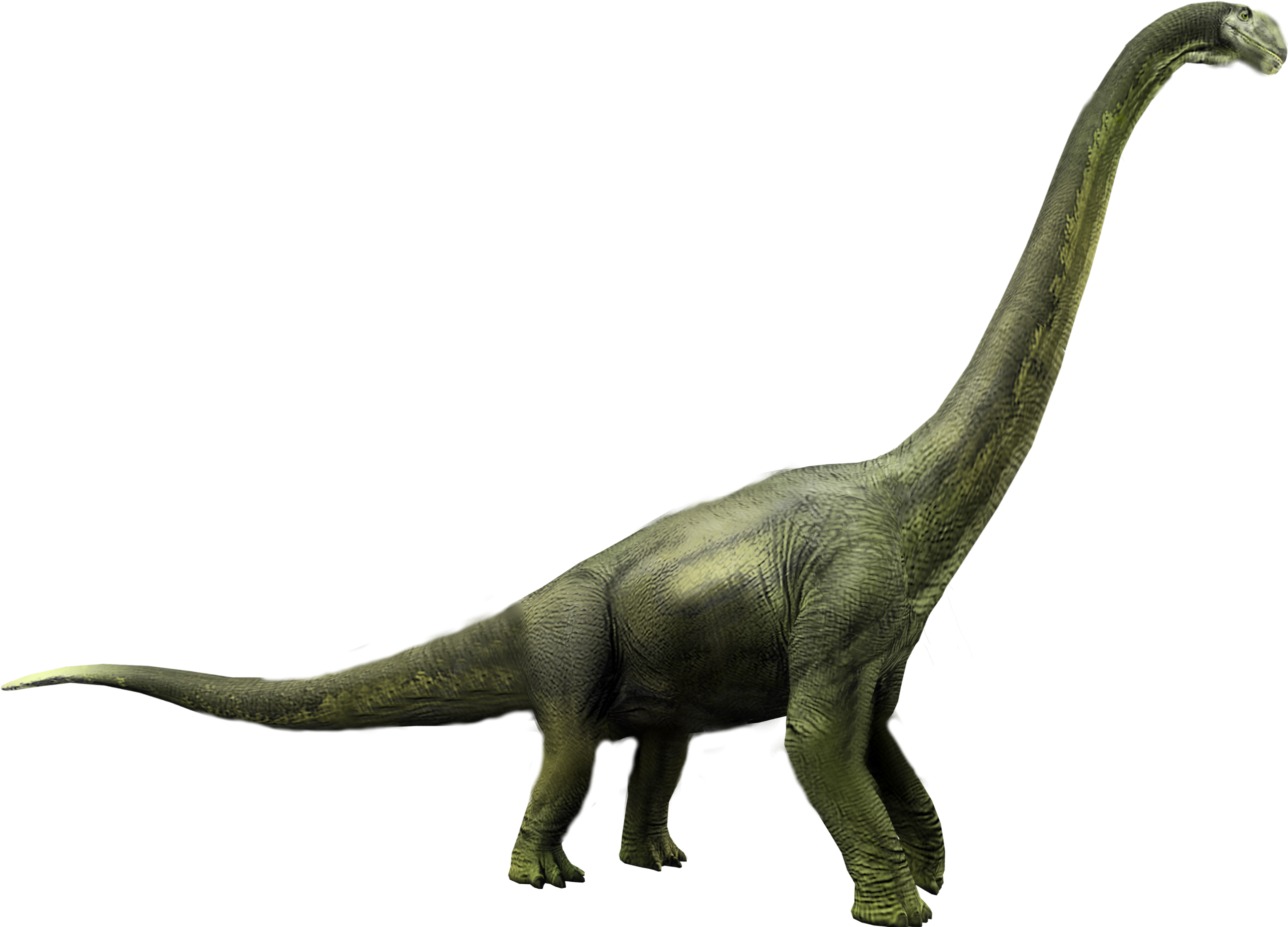 Jurassic World 桌布 壁紙 — 一隻細節豐富的綠色腕龍高高聳立在黑色背景上，展示其長頸和紋理皮膚。