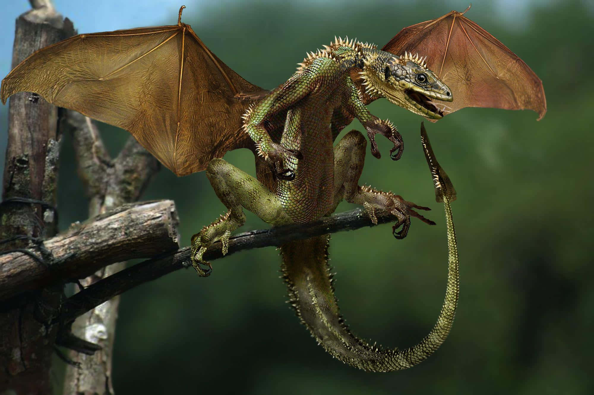 Mythical Dragon 桌布 壁紙 — 一隻細節豐富的逼真龍，帶有尖刺的綠色鱗片和棕色膜狀翅膀，棲息在風化的木枝上，背景是模糊的森林。