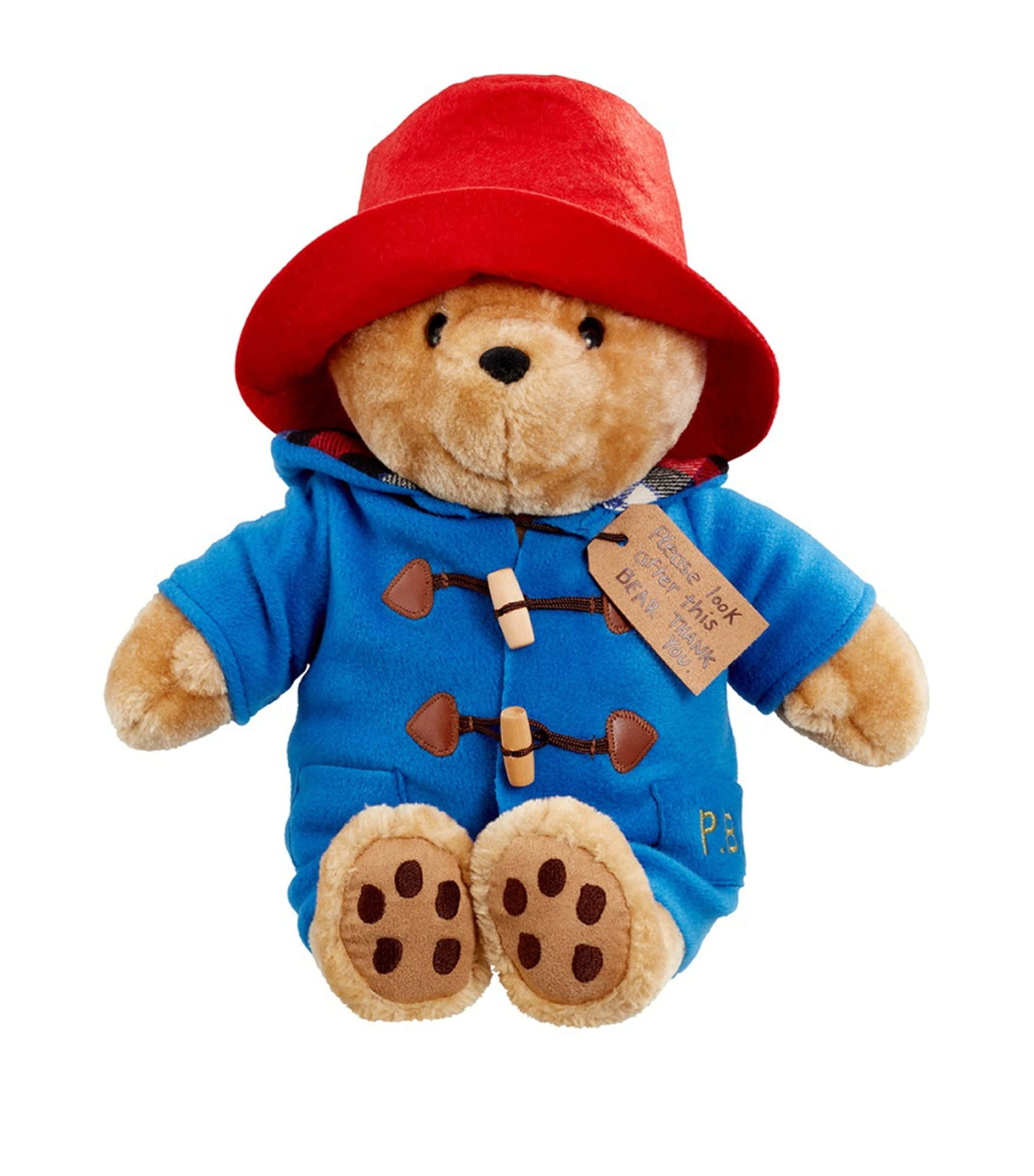 Cuddly 桌布 壁紙 — 一隻絨毛的柏靈頓熊戴著標誌性的紅帽子和藍色牛角扣大衣，坐在白色背景前。