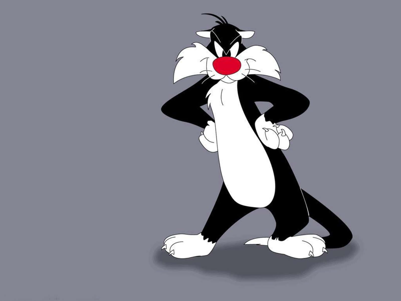 Sylvester The Cat 桌布 壁紙 — 一隻經典卡通貓，紅鼻子白胸膛，雙手叉腰，自信地站在純灰色背景前。