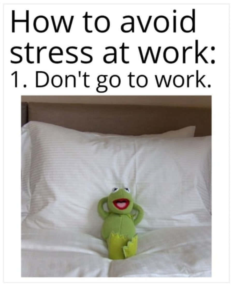 bed 桌布 壁紙 — 一隻綠色Kermit the Frog絨毛玩偶開心地坐在白色枕頭上的床上，上方有文字寫著「如何避免工作壓力：1. 不要上班。」