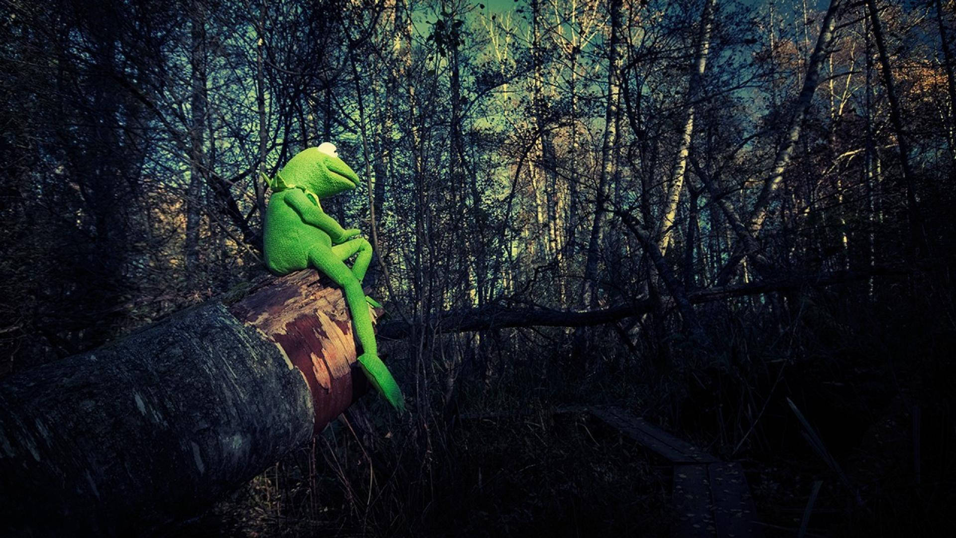 kermit 桌布 壁紙 — 一隻綠色木偶青蛙沉思地坐在一根倒下的圓木上，身處一個昏暗無葉的森林，沐浴在冷藍色和橙色的光線中。