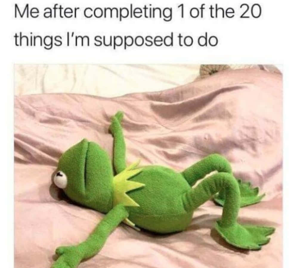 Memes Pics Funny 桌布 壁紙 — 一隻綠色的Kermit the Frog絨毛玩具攤在粉紅色床單上，看起來筋疲力盡，因為完成了二十項任務中的一項。