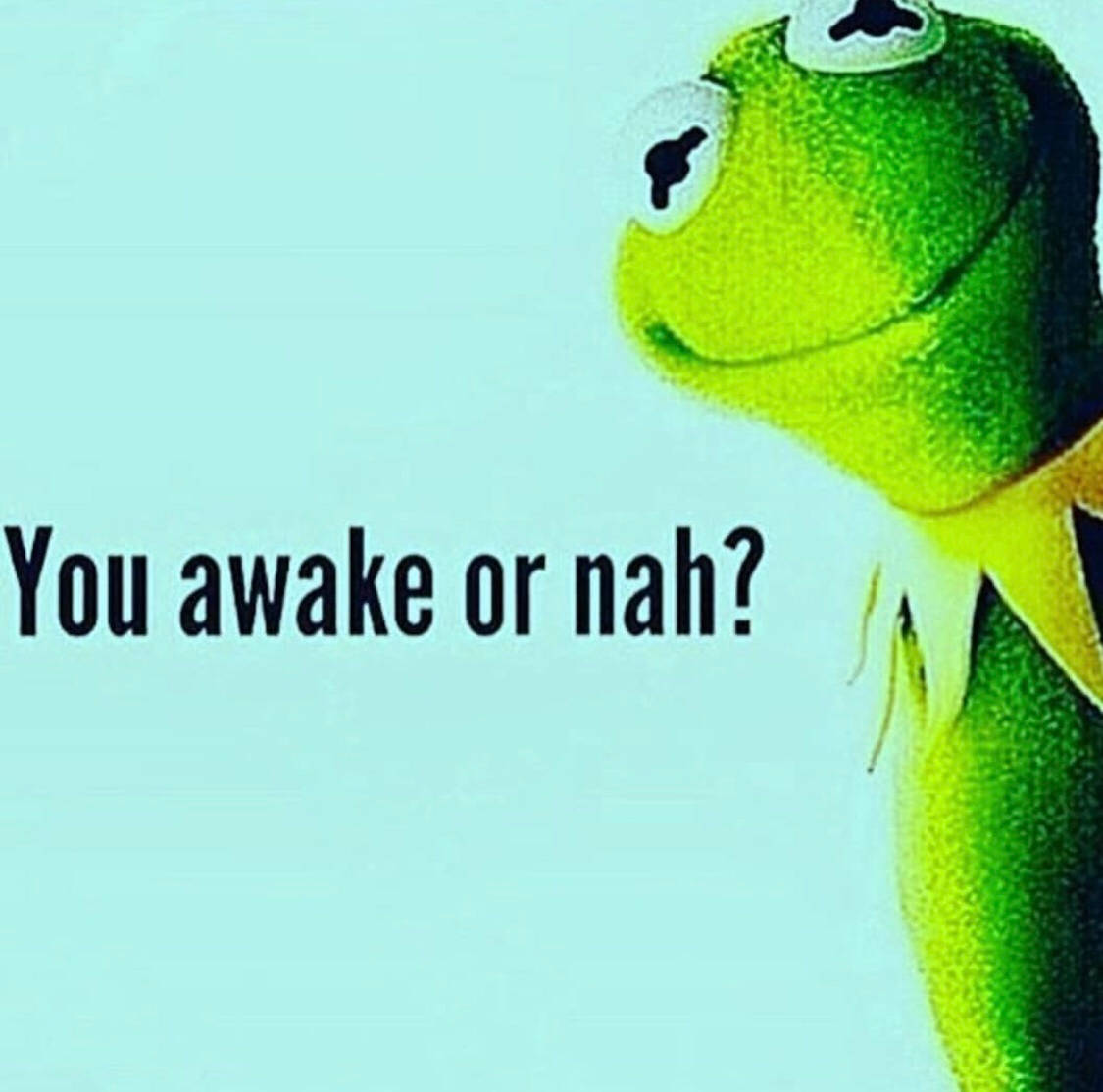 kermit 桌布 壁紙 — 一隻綠色青蛙木偶戴著黃色領帶，從右邊探出頭來，背景是淺藍色，問「你醒了還是沒醒？」