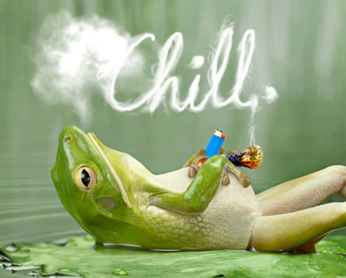 Weed Funny 桌布 壁紙 — 一隻綠色青蛙躺在荷葉上抽煙，煙霧在上方拼出「Chill」。