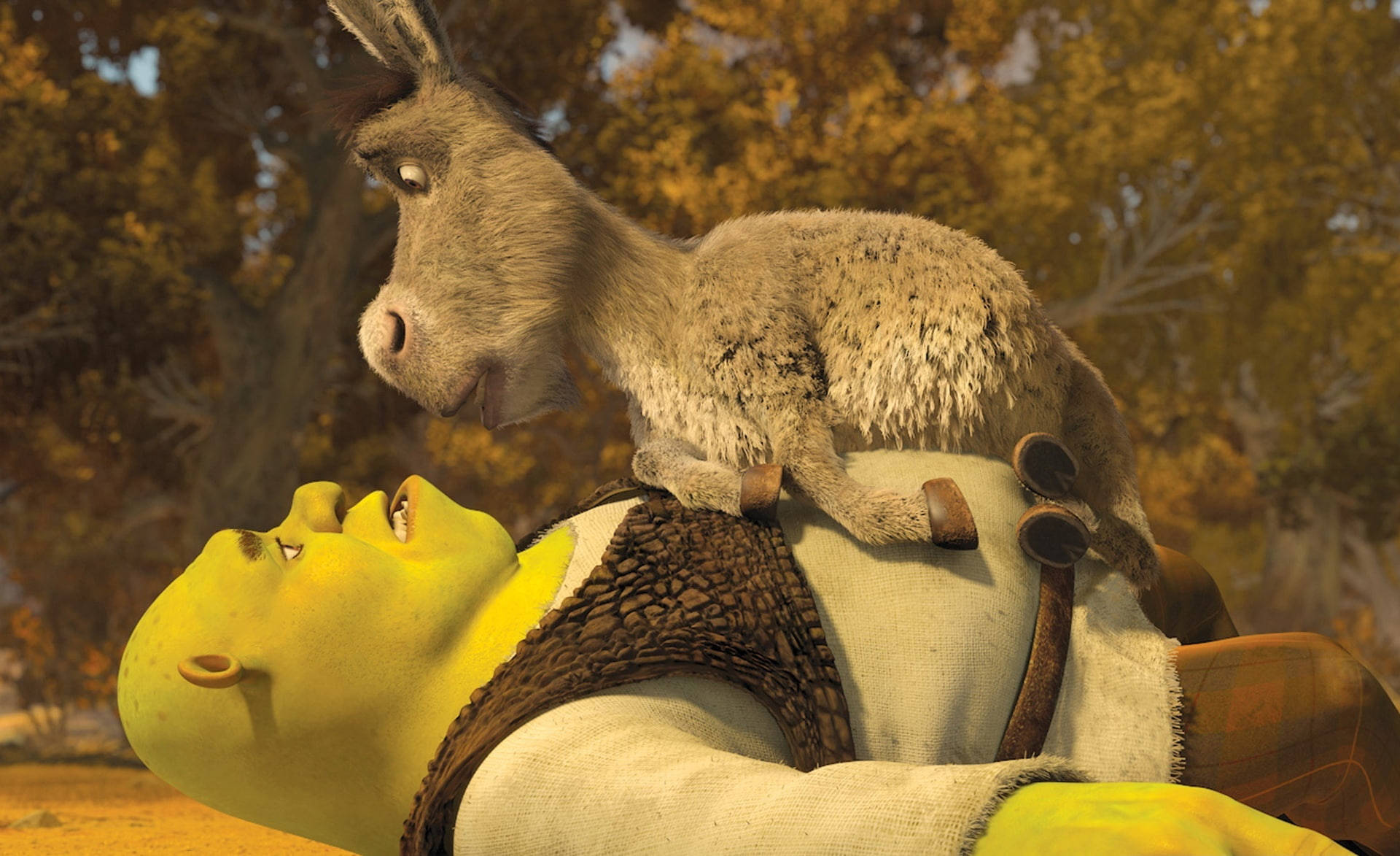 Shrek 桌布 壁紙 — 一隻綠色食人魔在森林中仰臥，一頭驢子站在他的胸口向下看。