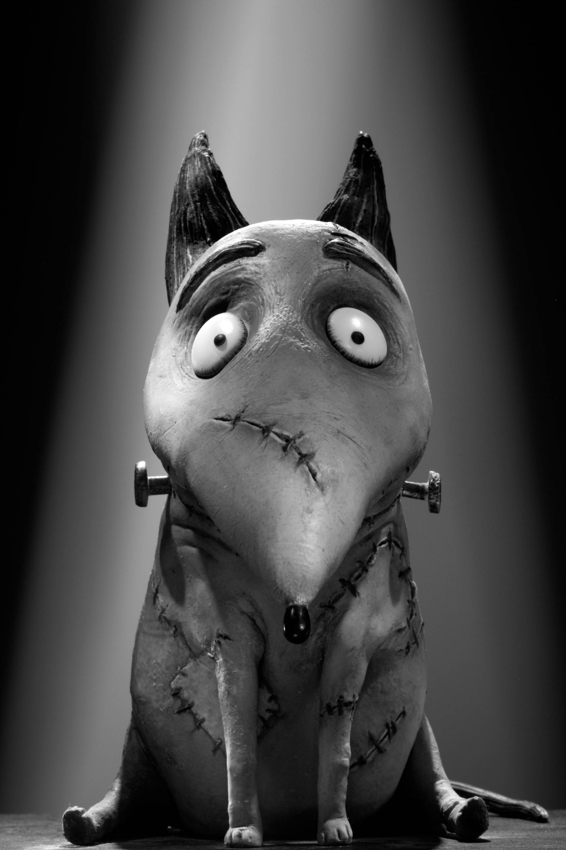 Frankenweenie 桌布 壁紙 — 一隻縫合起來的卡通狗，有大眼睛和魔鬼角，坐在聚光燈下，背景是深色漸變。