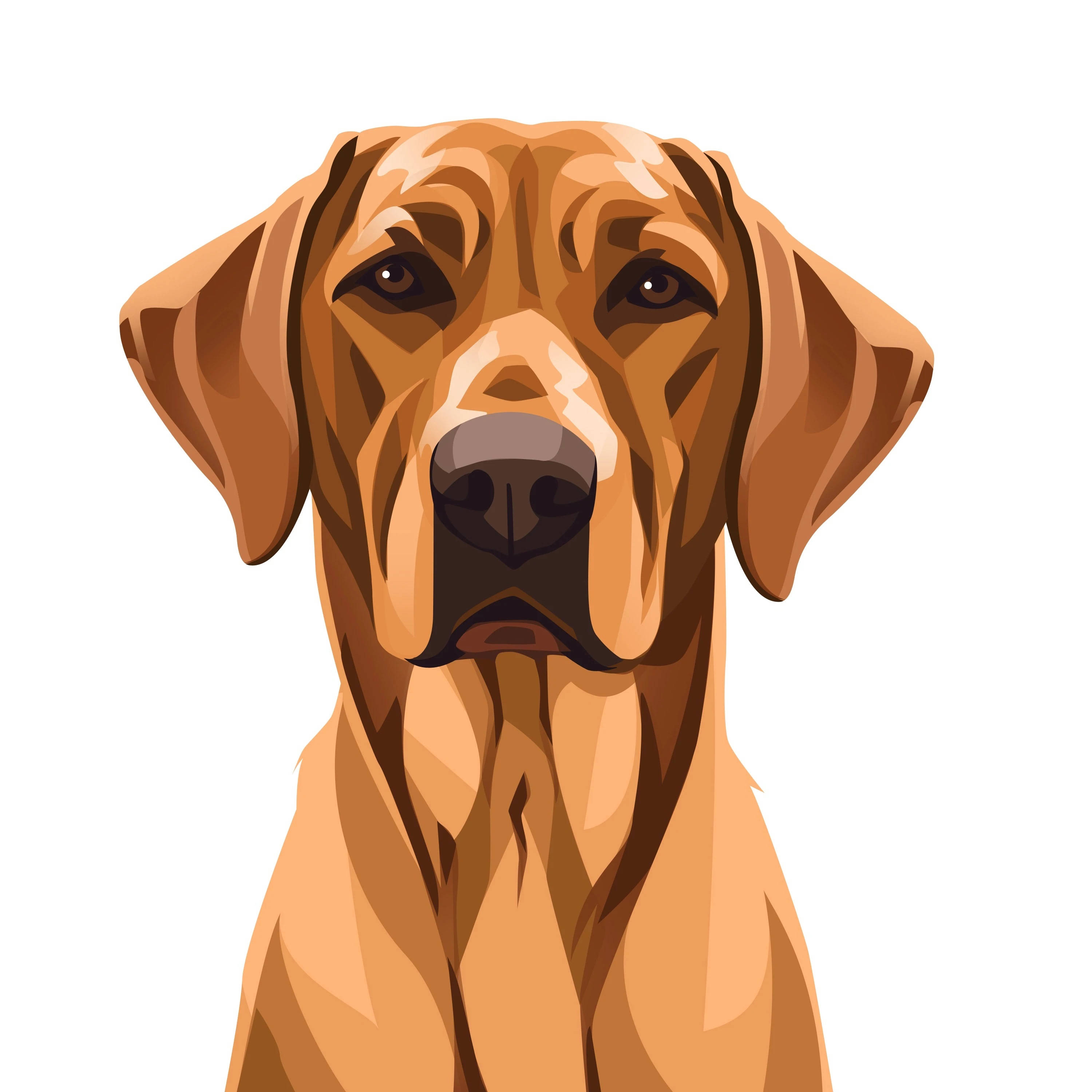 Dog Art 桌布 壁紙 — 一隻羅德西亞背脊犬的風格化插圖，帶有溫暖的棕色色調和富有表現力的眼睛，背景為純白色。