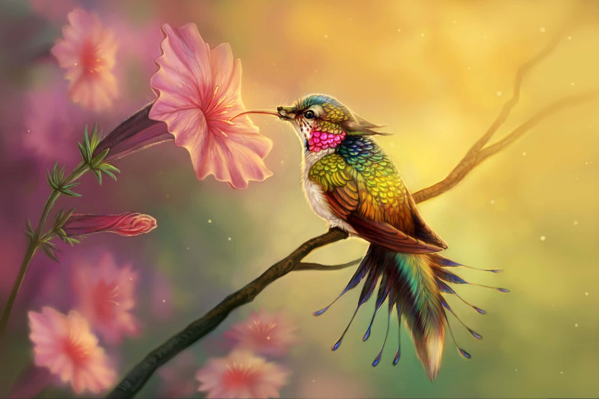 蜂鳥 桌布 壁紙 — 一隻羽毛閃爍的蜂鳥在金色發光的背景下棲息在樹枝上，從一朵粉紅色的花中啜飲花蜜。