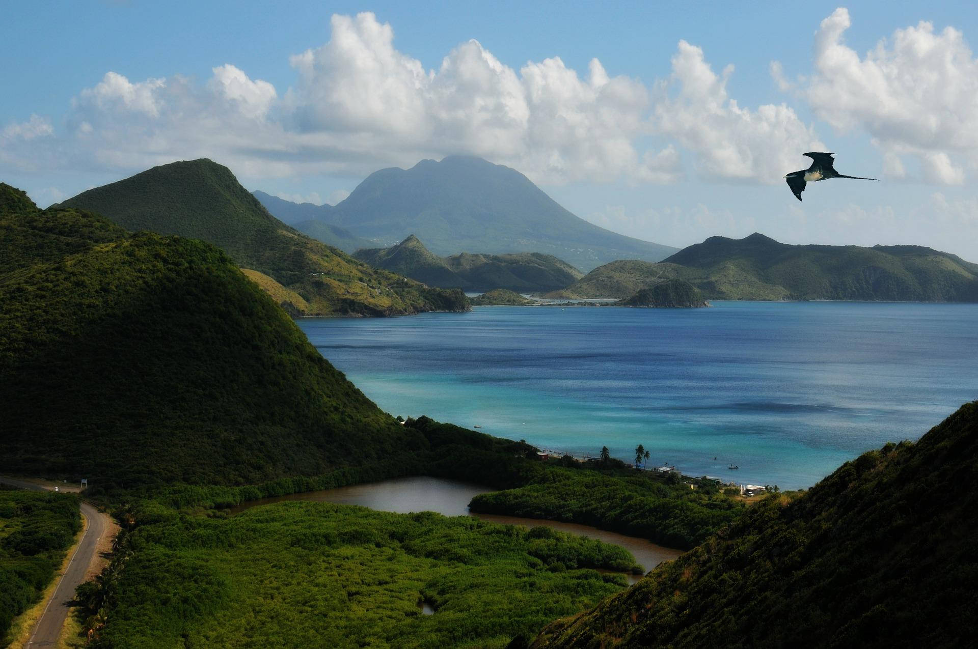 Caribbean 桌布 壁紙 — 一隻翱翔的鳥兒在明亮的藍天白雲下，滑翔於翠綠山丘之間的碧綠水域之上。
