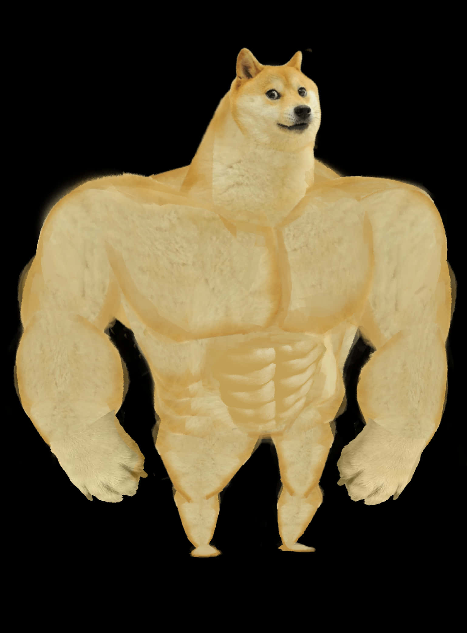 Doge 桌布 壁紙 — 一隻肌肉發達的柴犬自信地站在黑色背景前，擁有清晰的腹肌和肱二頭肌。