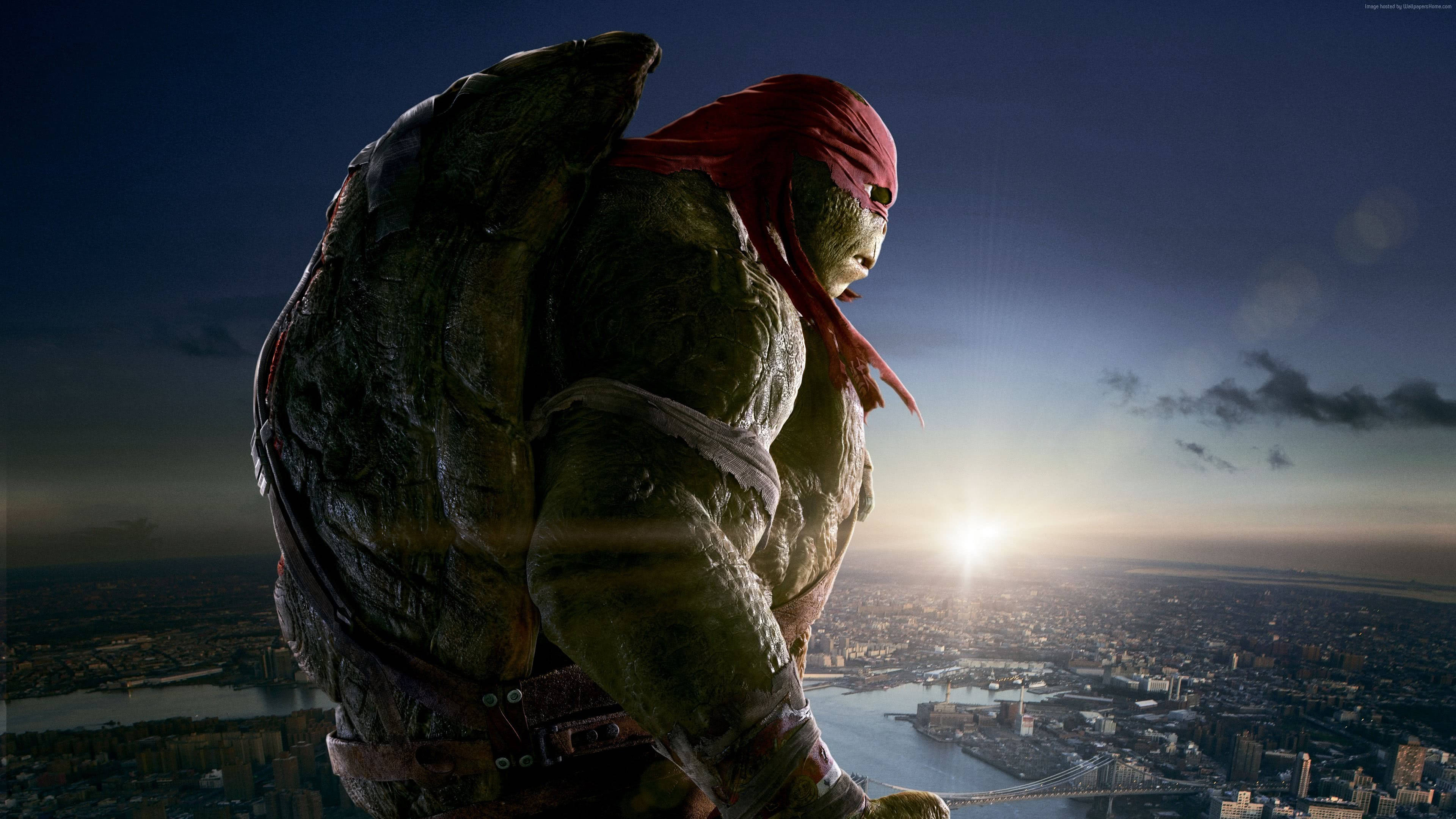 teenage mutant ninja turtles 桌布 壁紙 — 一隻肌肉發達的綠色烏龜戴著紅色頭巾，站在摩天大樓頂上，俯瞰日落時分蔓延的城市。