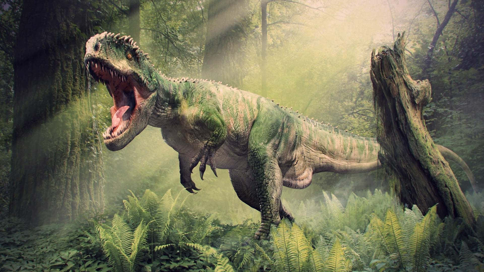 Realistic Dinosaur 桌布 壁紙 — 一隻背上有刺的綠色恐龍咆哮著，在一個有蕨類植物和長滿苔蘚的樹木的迷霧古老森林中徘徊。
