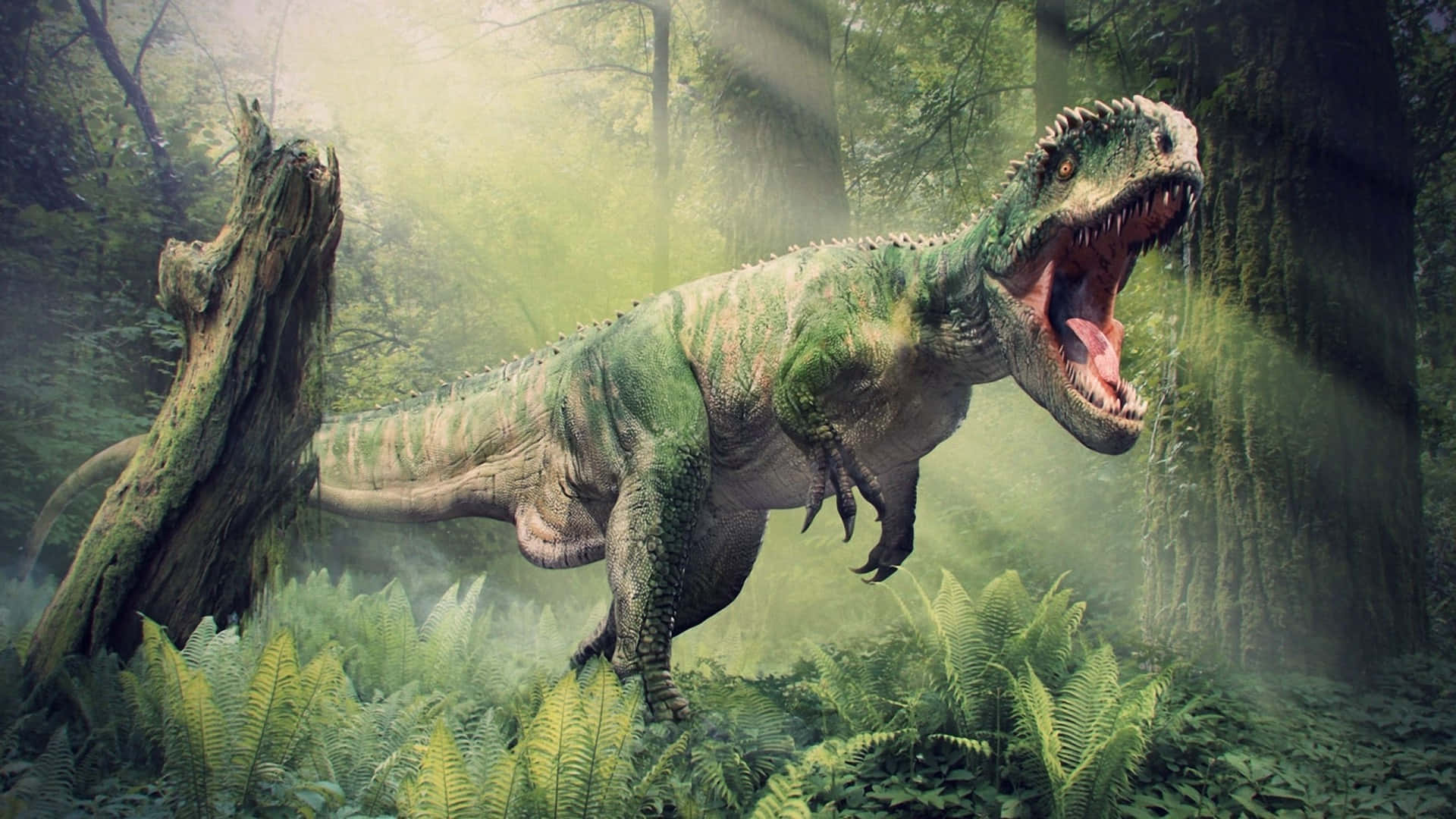 Realistic Dinosaur 桌布 壁紙 — 一隻背部有尖刺的綠色恐龍在咆哮，站立在薄霧籠罩的森林中，蕨類植物和高聳的樹木沐浴在柔和的陽光下。