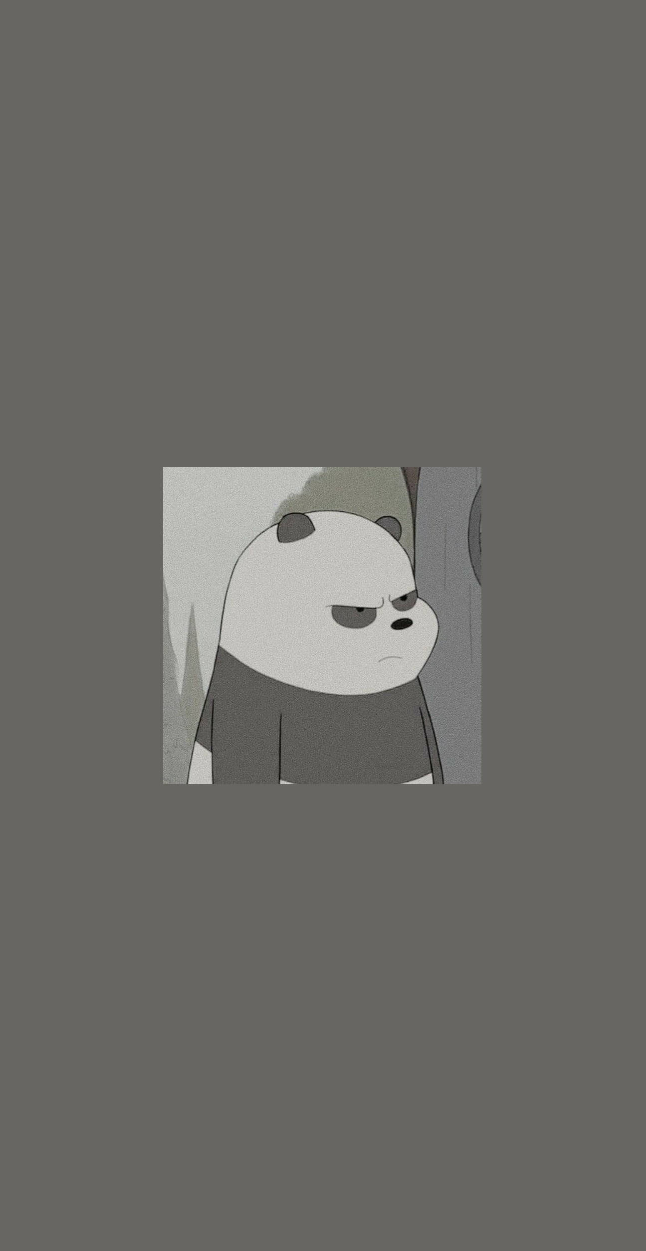 We Bare Bears Aesthetic 桌布 壁紙 — 一隻脾氣暴躁的卡通熊貓，瞇著眼睛，皺著眉頭，站在柔和的灰色背景前。