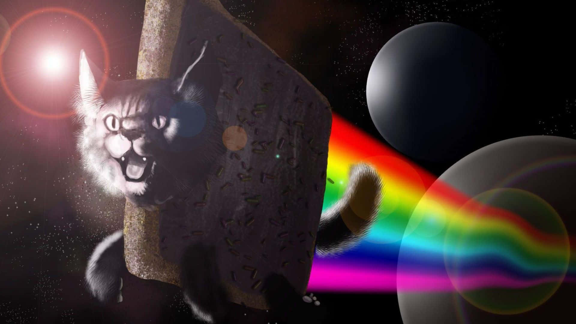 Nyan Cat 桌布 壁紙 — 一隻脾氣暴躁的貓，在太空靠近行星和一顆明亮恆星的地方，從臀部噴射出彩虹雷射光束。