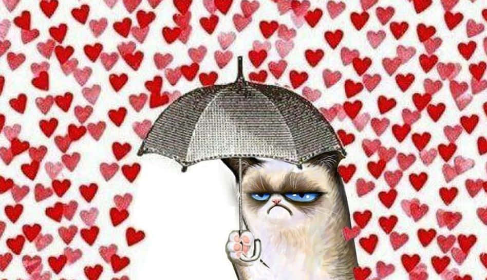 Holiday Memes 桌布 壁紙 — 一隻脾氣暴躁的貓拿著閃閃發光的雨傘，背景是紅色愛心。