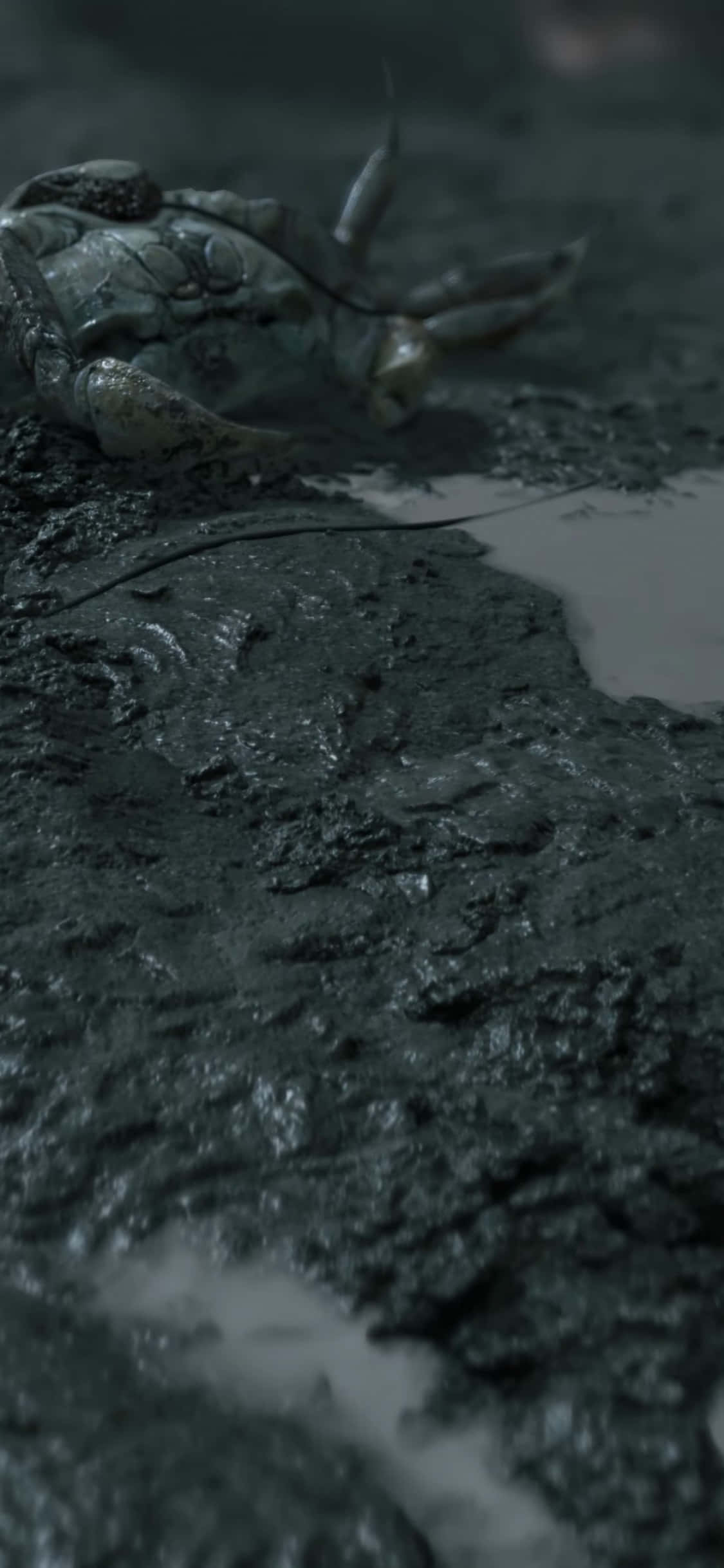 iPhone Xs Death Stranding 桌布 壁紙 — 一隻腐爛的螃蟹半埋在黑暗潮濕的泥濘中，附近有一個小水坑，光線昏暗。