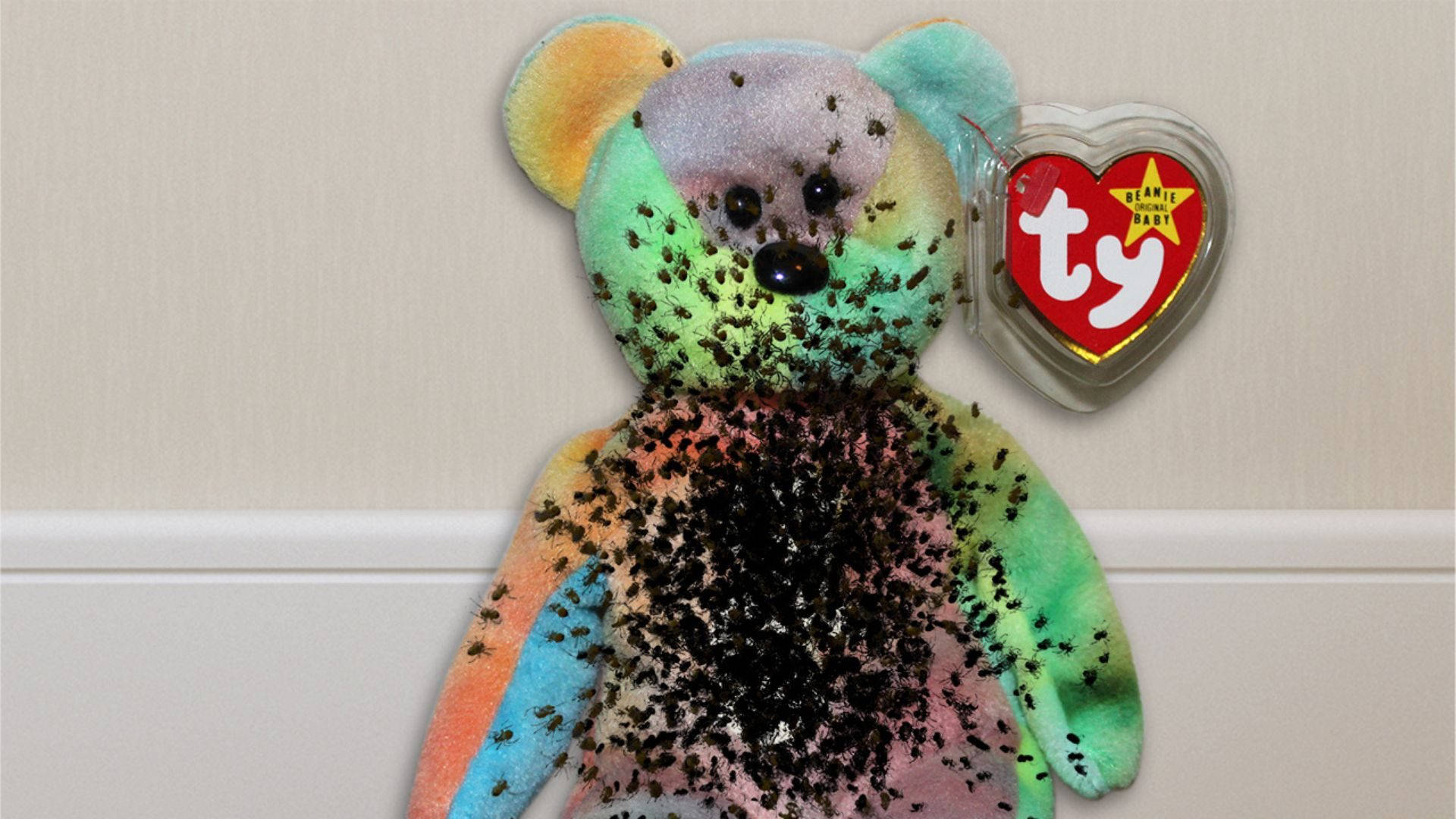 Beanie 桌布 壁紙 — 一隻色彩繽紛的Ty Beanie Baby泰迪熊，在米色牆壁上佈滿黑色螞蟻。
