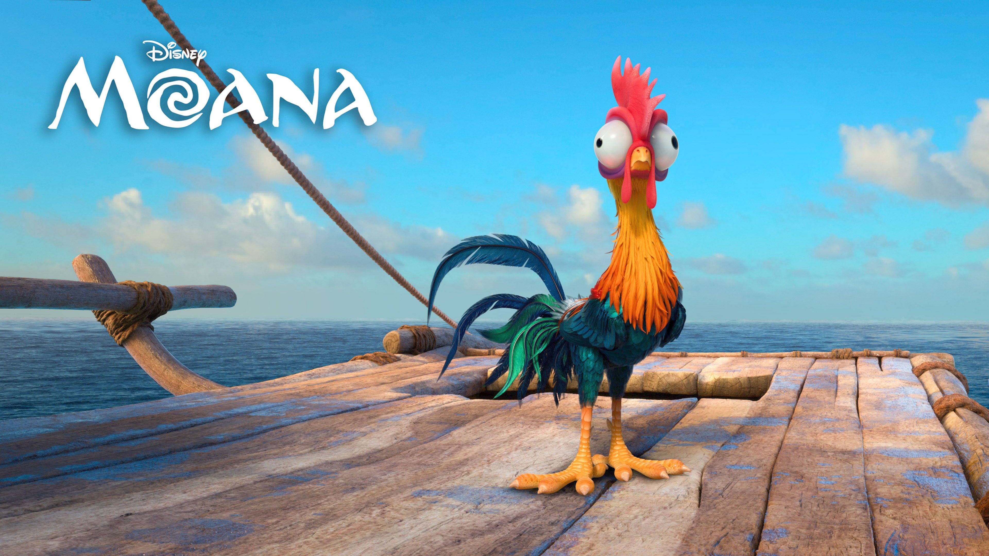Moana 桌布 壁紙 — 一隻色彩繽紛的動畫公雞警覺地站在一艘風化木製船甲板上，背景是明亮的藍色海洋和天空。