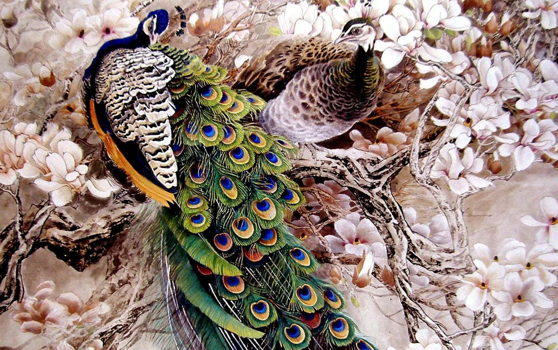 Painting 桌布 壁紙 — 一隻色彩鮮豔、帶有虹彩綠色尾羽的孔雀和一隻雌孔雀棲息在彎曲樹枝上盛開的白木蘭花叢中。