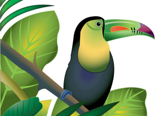 Trees Clipart 桌布 壁紙 — 一隻色彩鮮豔的巨嘴鳥棲息在樹枝上，周圍是茂密的綠葉，背景為黑色。