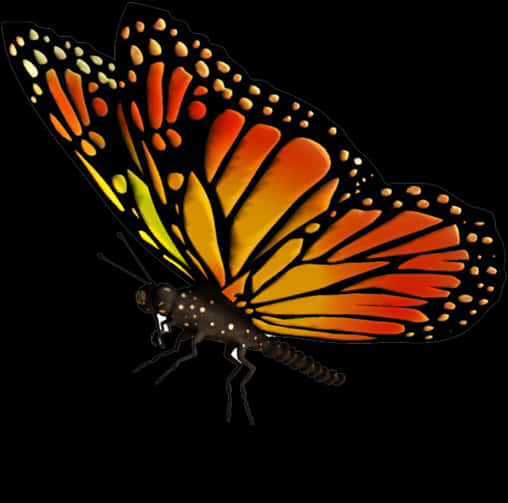 Butterflies 桌布 壁紙 — 一隻色彩鮮豔的帝王斑蝶，帶有橙色、黃色和黑色的翅膀，在純黑背景下展開。