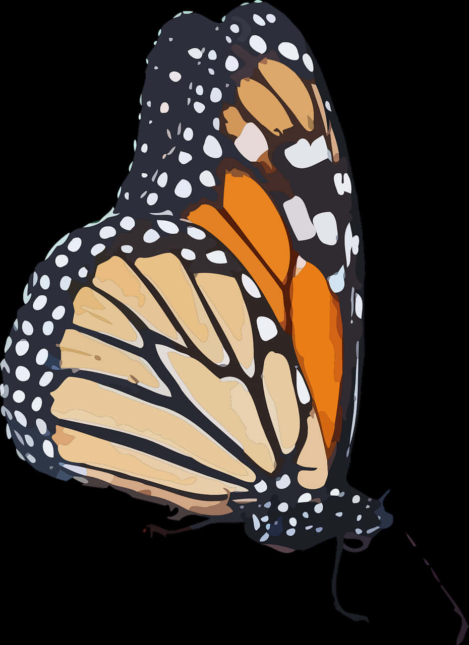 Monarch Butterfly 桌布 壁紙 — 一隻色彩鮮豔的帝王斑蝶，帶有橙色、黑色和白色的翅膀，在純黑色背景上以側面輪廓展示。