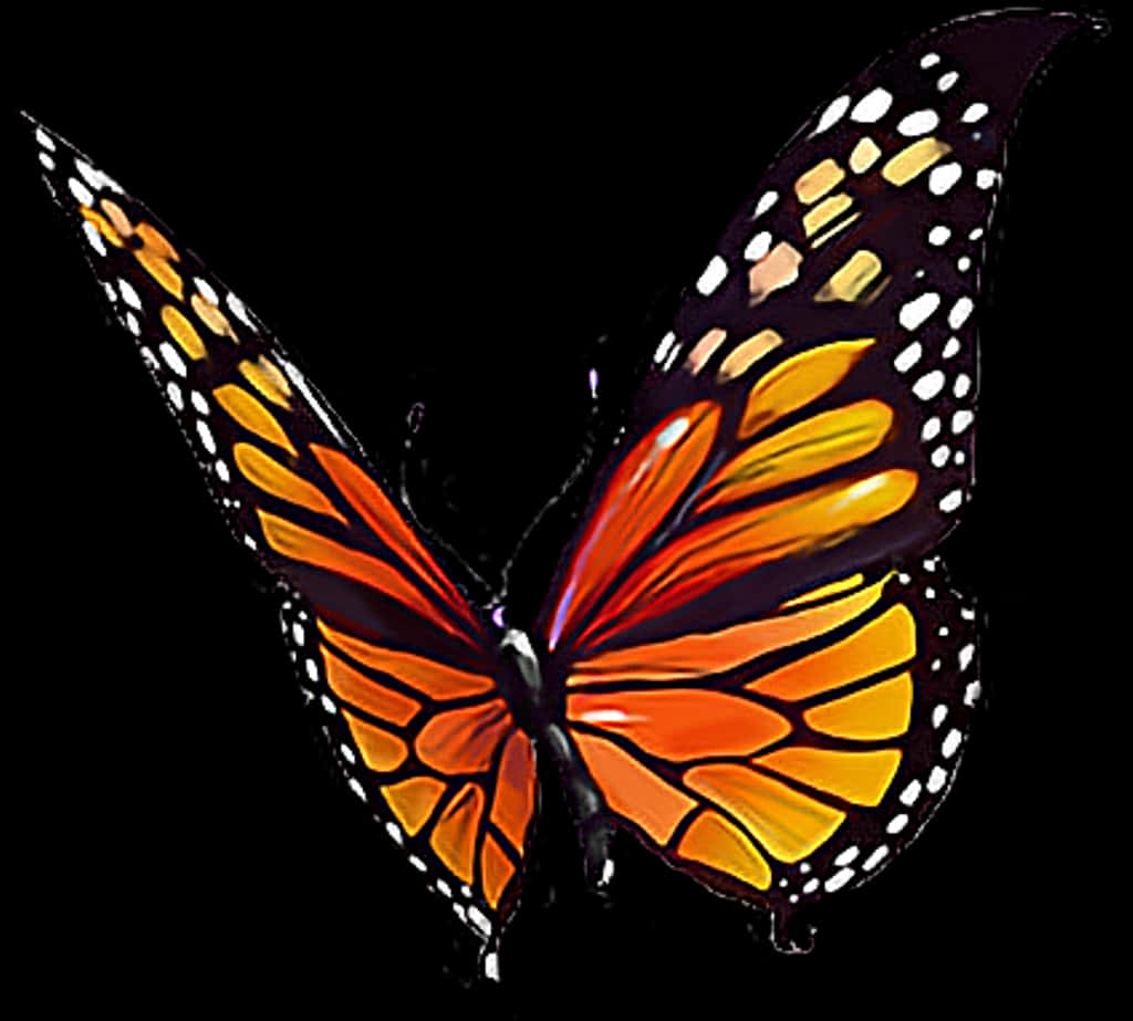 Monarch Butterfly 桌布 壁紙 — 一隻色彩鮮豔的帝王斑蝶，帶有橙黃色和黑色的翅膀，在純黑背景上展開。