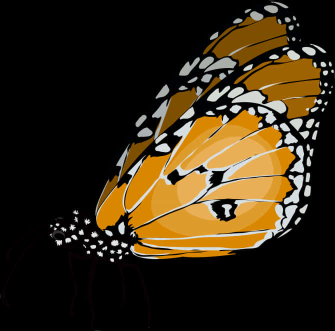 Monarch Butterfly 桌布 壁紙 — 一隻色彩鮮豔的帝王斑蝶，擁有橙色翅膀和白色斑點，停在純黑色背景上。
