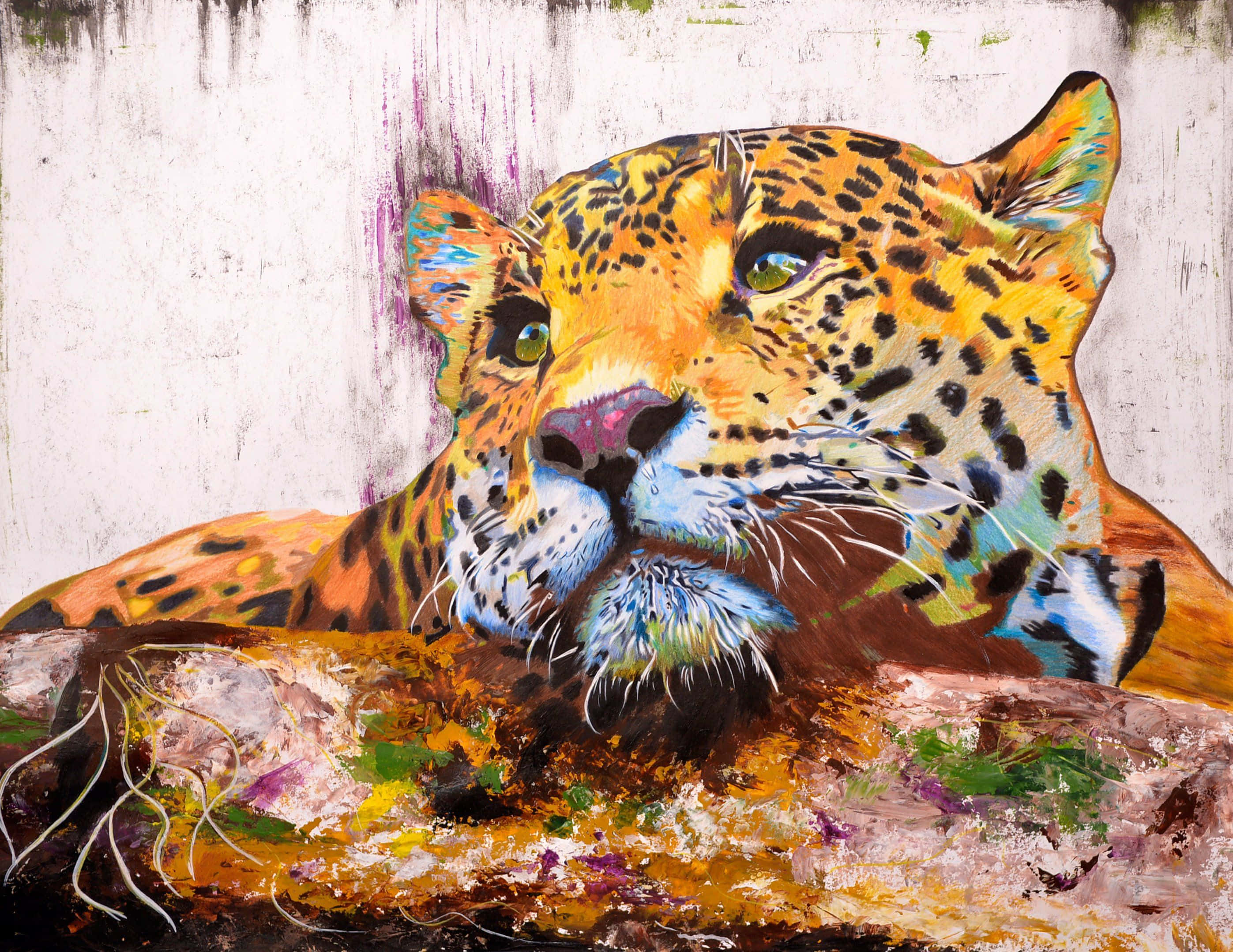 Jaguar 桌布 壁紙 — 一隻色彩鮮豔的彩繪豹子，眼睛發光，在風化的牆壁前休息在紋理岩石上。