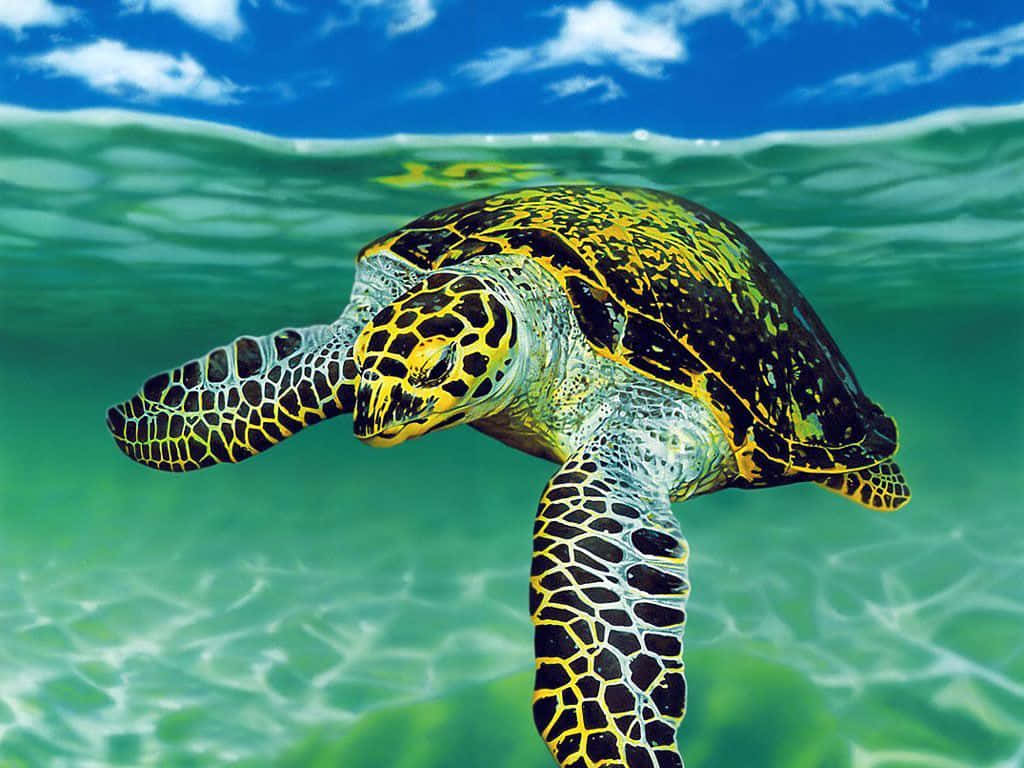 Turtle iPhone HD 桌布 壁紙 — 一隻色彩鮮豔的玳瑁海龜在藍天白雲下，優雅地滑過碧綠的海水。