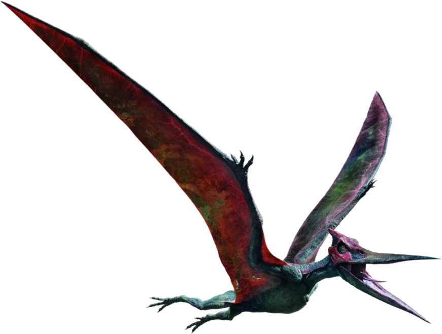Jurassic World 桌布 壁紙 — 一隻色彩鮮豔的翼龍，擁有紅色和綠色的翅膀，在純黑背景下翱翔。