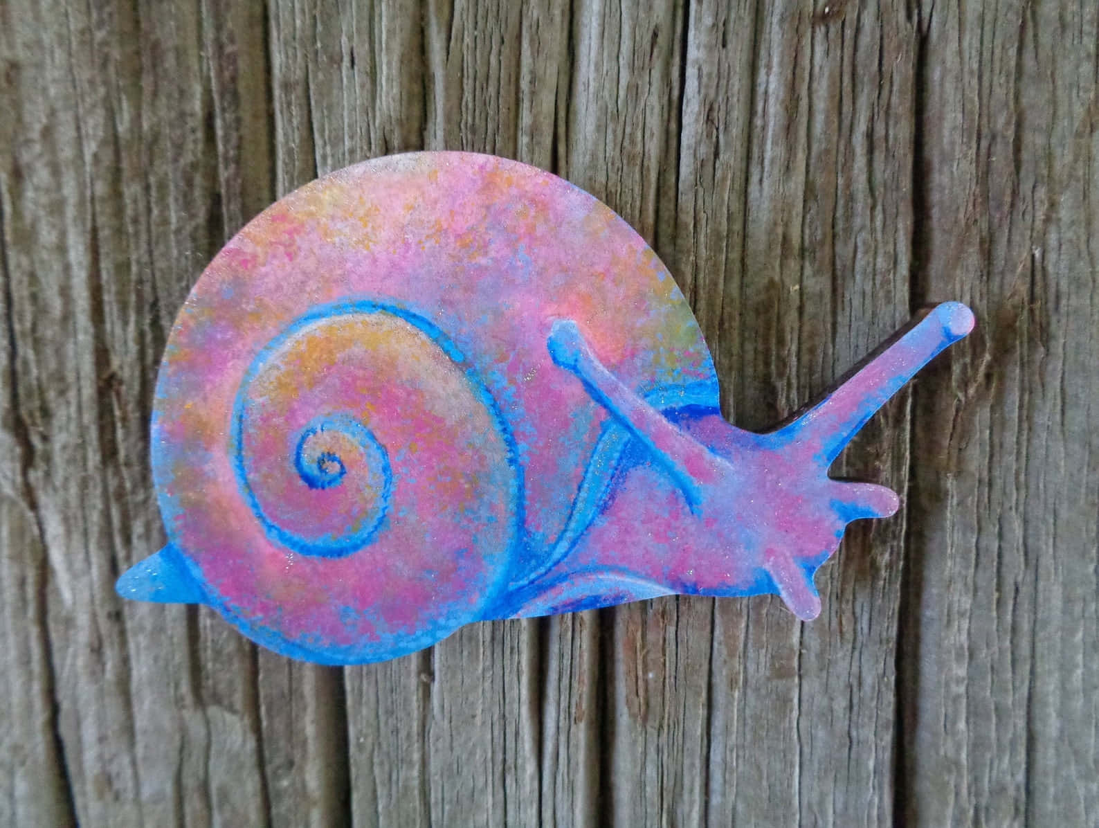 Pink Snail 桌布 壁紙 — 一隻色彩鮮豔的蝸牛，帶有粉紅、藍色和橙色的色調，棲息在風化的木板上。
