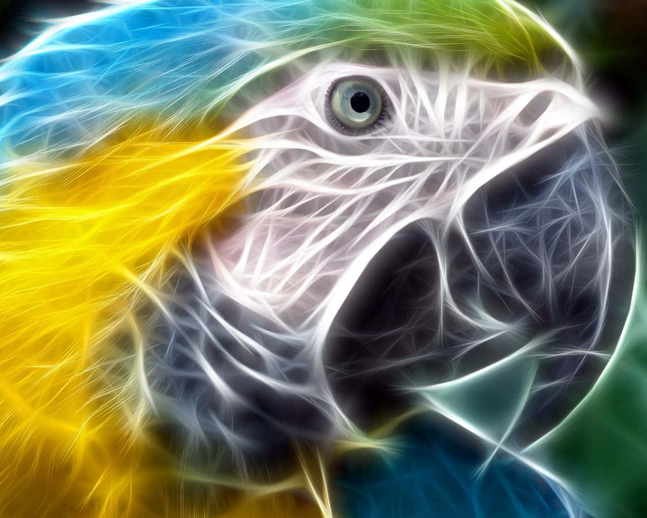 鳥 桌布 壁紙 — 一隻色彩鮮豔的金剛鸚鵡頭部，以電光般的碎形線條呈現，帶有發光的藍色、黃色和綠色色調。