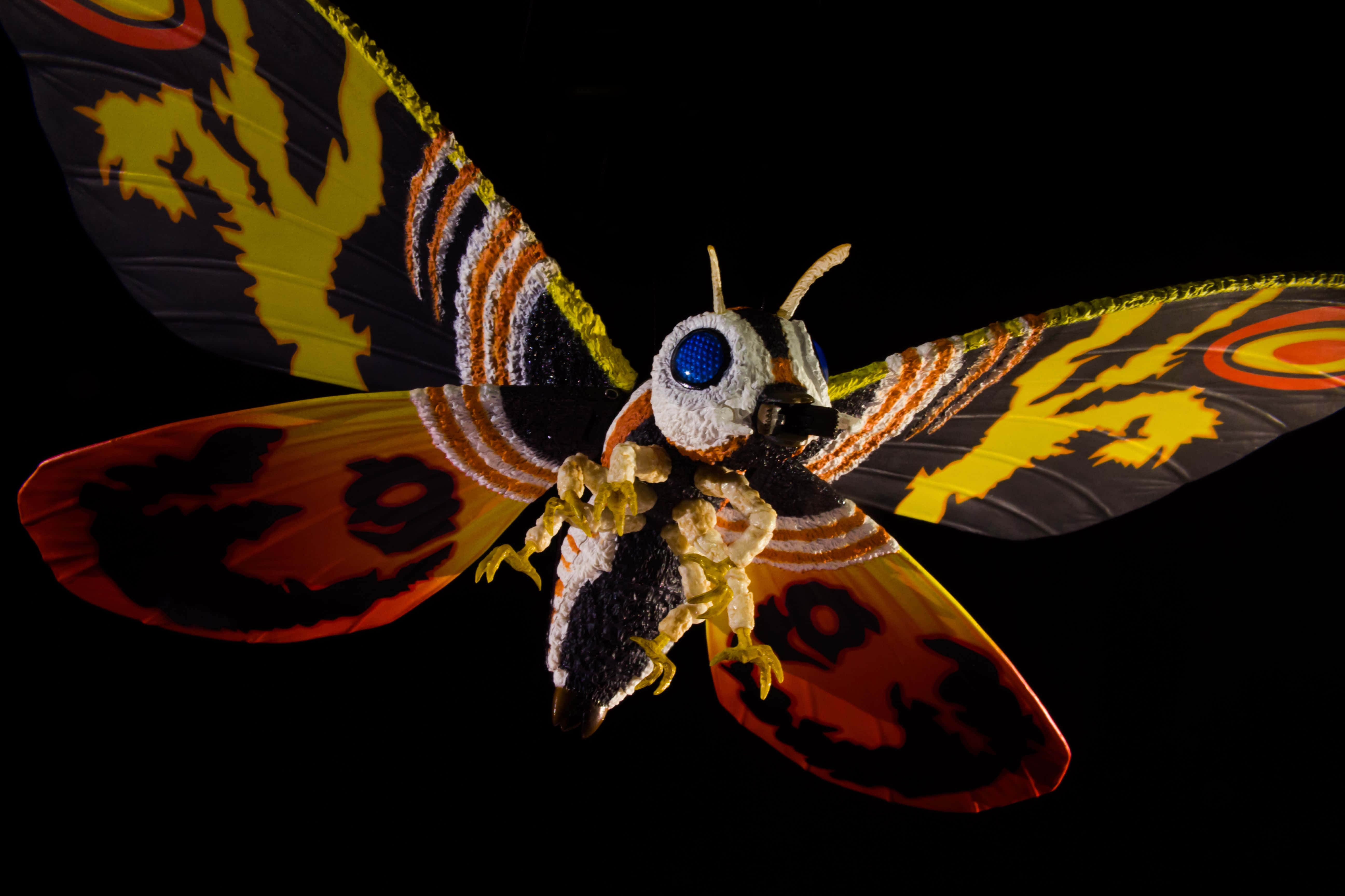 mothra 桌布 壁紙 — 一隻色彩鮮豔的飛蛾，帶有火橙色、黃色和黑色的翅膀，以及引人注目的藍色眼睛，在漆黑的背景下閃閃發光。