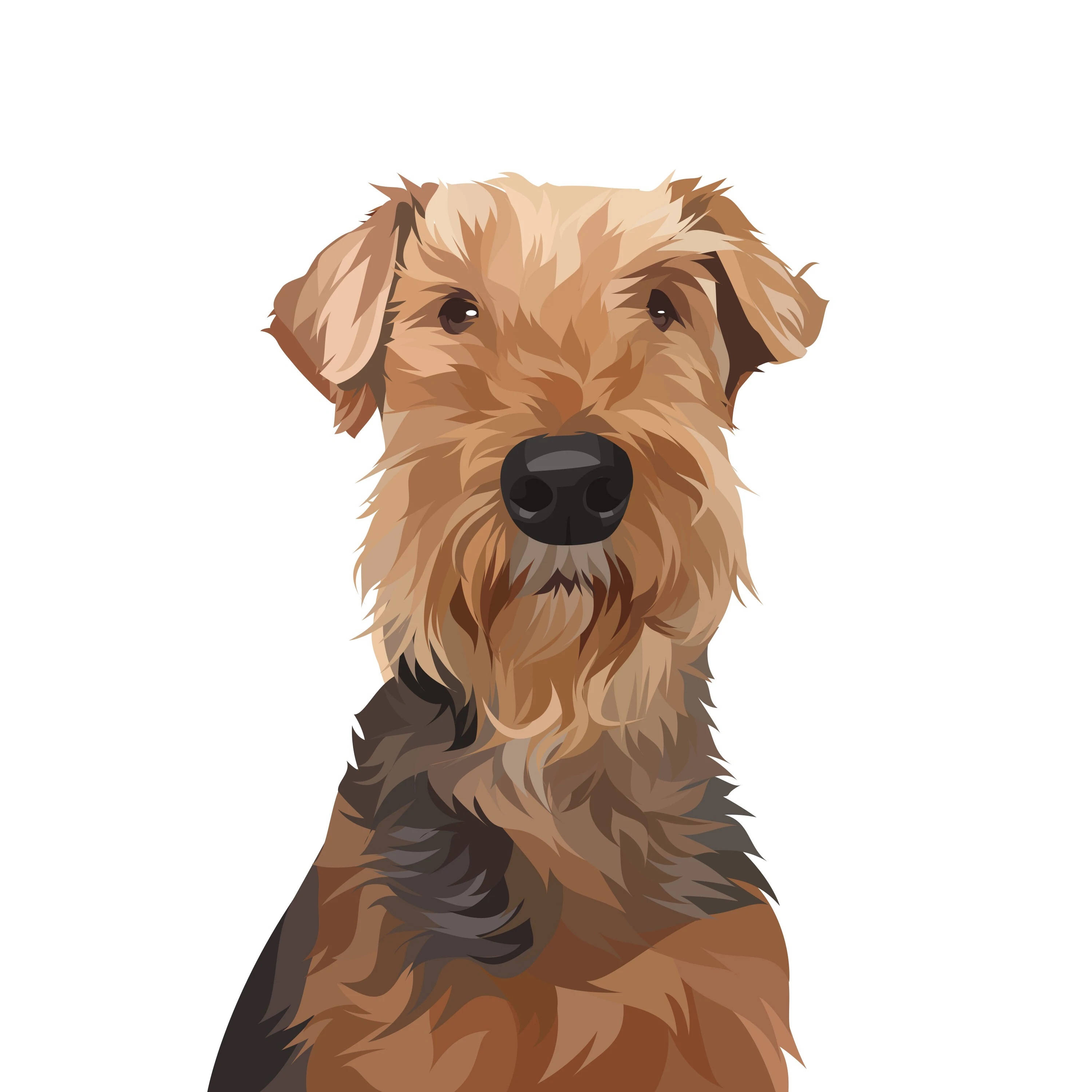 Dog Art 桌布 壁紙 — 一隻艾爾代爾梗犬的詳細數位插圖，擁有蓬鬆的棕褐色和黑色毛髮，直視前方，背景為純白色。