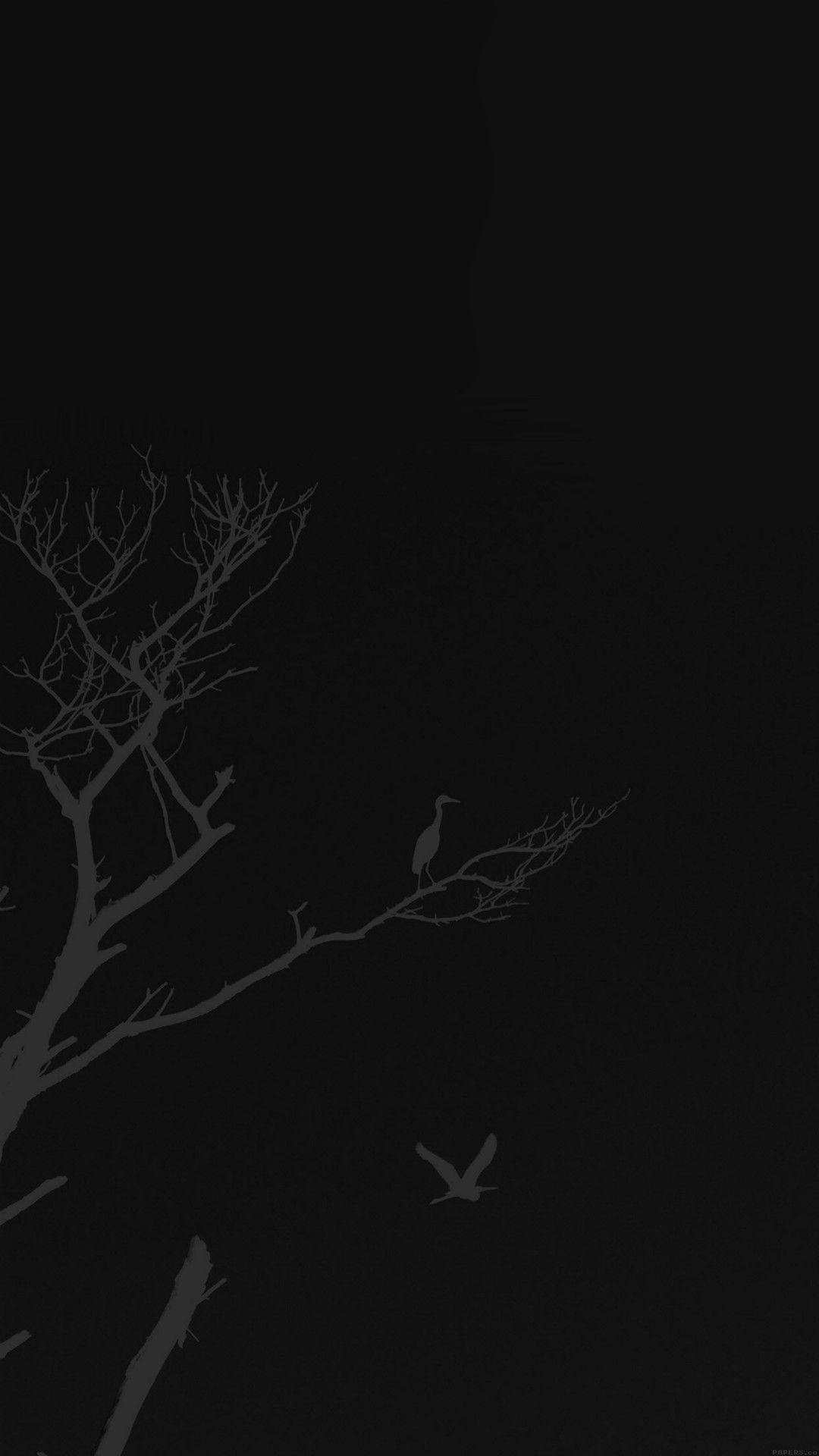 夜晚，一隻蒼鷺棲息在光禿禿的樹枝上，附近有另一隻鳥在飛翔。 — 簡約 Android 桌布 壁紙