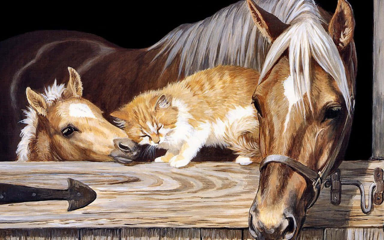 Pretty Horse 桌布 壁紙 — 一隻薑貓在木柵欄上安詳地小睡，兩匹馬在附近休息頭部，構成寧靜的馬廄場景。