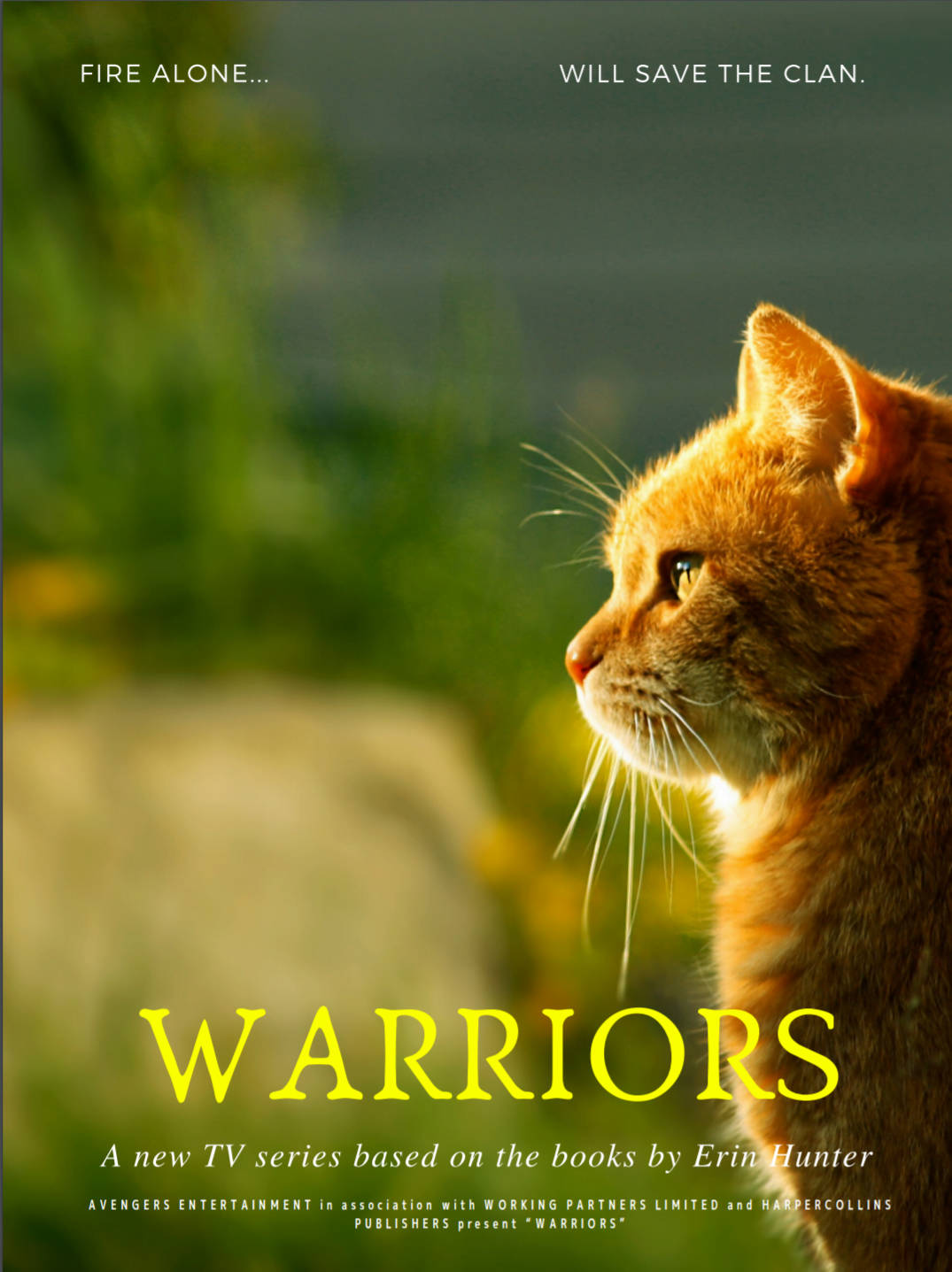 Warrior Cats 桌布 壁紙 — 一隻薑貓在陽光照射的綠色背景下凝視遠方，並有粗體黃色文字寫著「WARRIORS」。