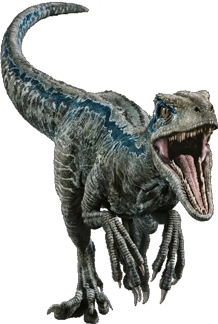 Jurassic World 桌布 壁紙 — 一隻藍灰色的迅猛龍，擁有尖銳的牙齒和爪子，在黑色背景前咆哮。