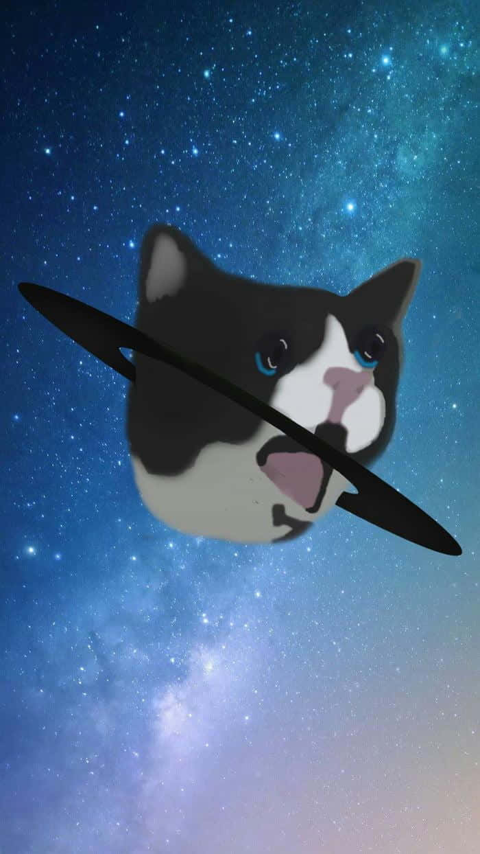 太空 桌布 壁紙 — 一隻藍眼睛的卡通貓在繁星點點的星系中漂浮，頭上有一個像行星一樣的黑色環。