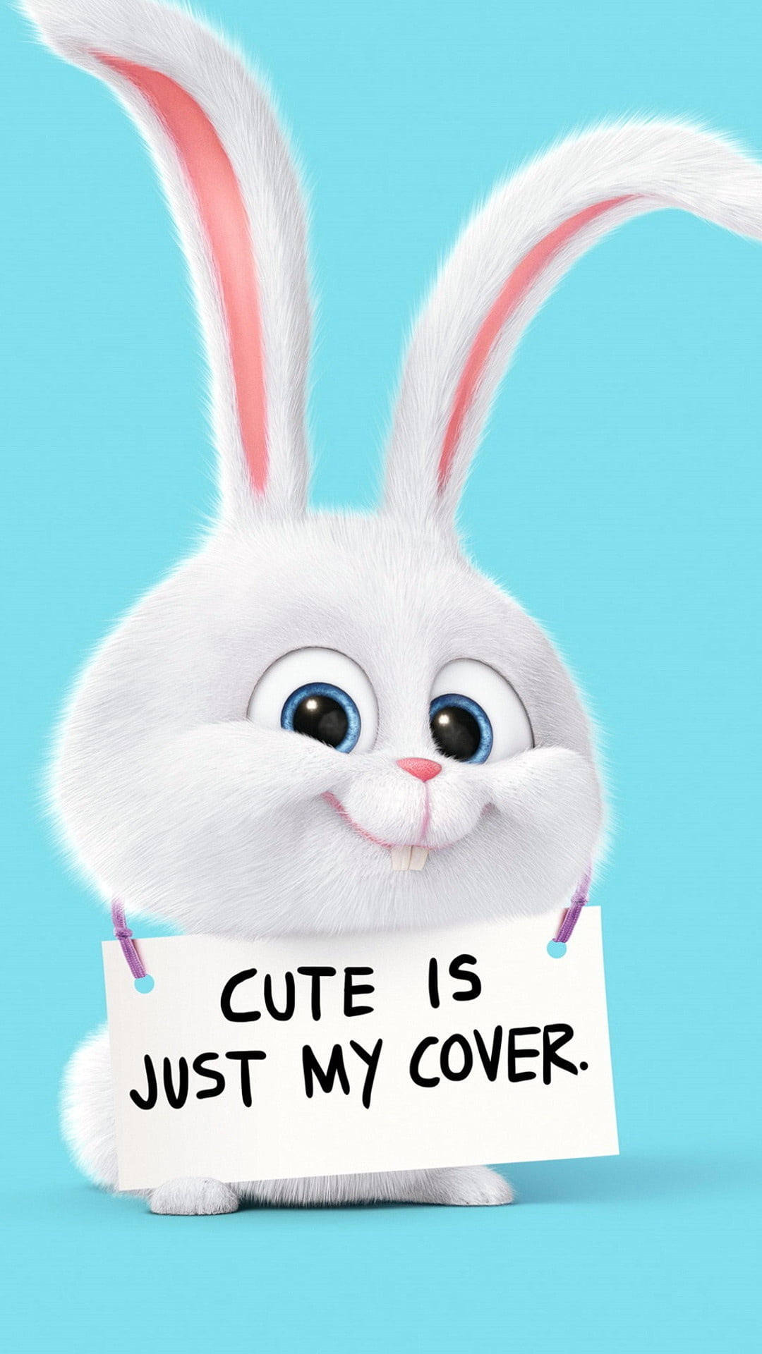 Cute Bunny 桌布 壁紙 — 一隻藍眼睛的毛茸茸白色動畫兔子，在純淺藍色背景上舉著一個寫有「CUTE IS JUST MY COVER」的牌子。