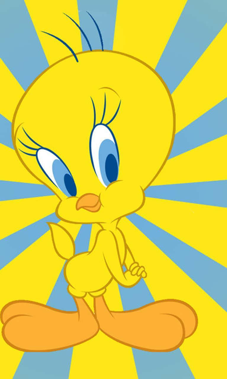 Tweety Bird 桌布 壁紙 — 一隻藍眼睛的黃色卡通鳥自信地站在充滿活力的黃藍色太陽爆發背景前。