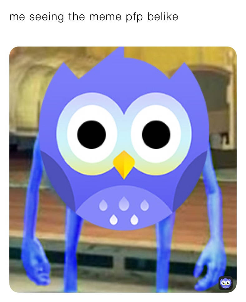 Angry Birds 桌布 壁紙 — 一隻藍色卡通貓頭鷹，眼睛大大，帶有汗珠，站在模糊的室內環境中。