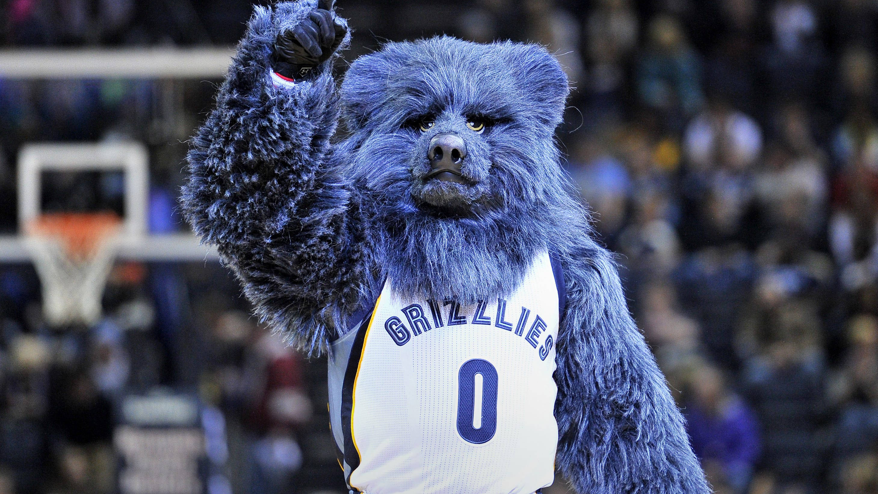 Grizzlies 桌布 壁紙 — 一隻藍色毛茸茸的灰熊吉祥物，身穿白色Grizzlies球衣，在籃球場上勝利地舉起拳頭。